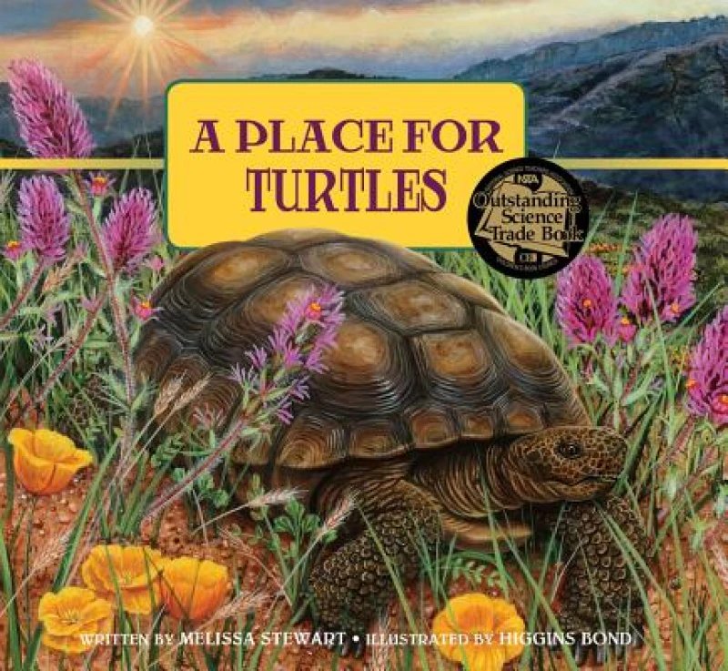 A Place for Turtles