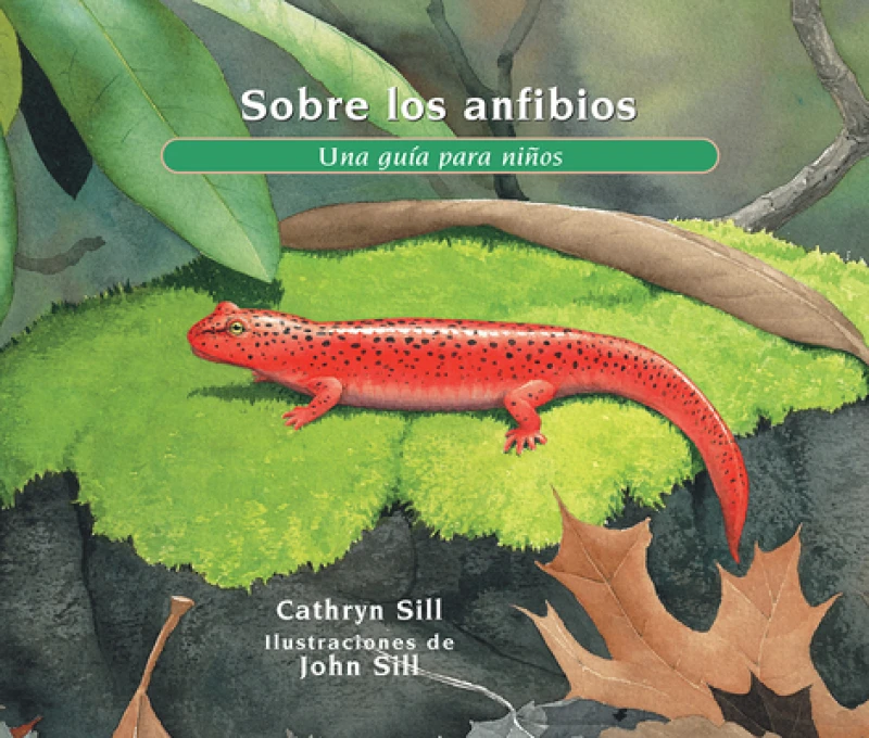 Sobre los anfibios/ About Amphibians