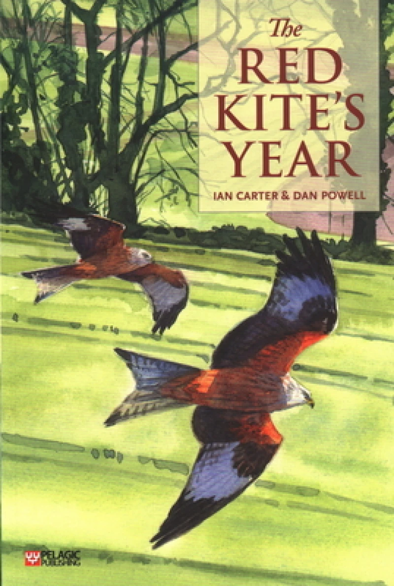 The Red Kite’s Year