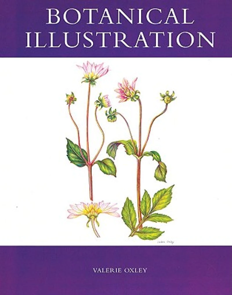Botanical Illustration