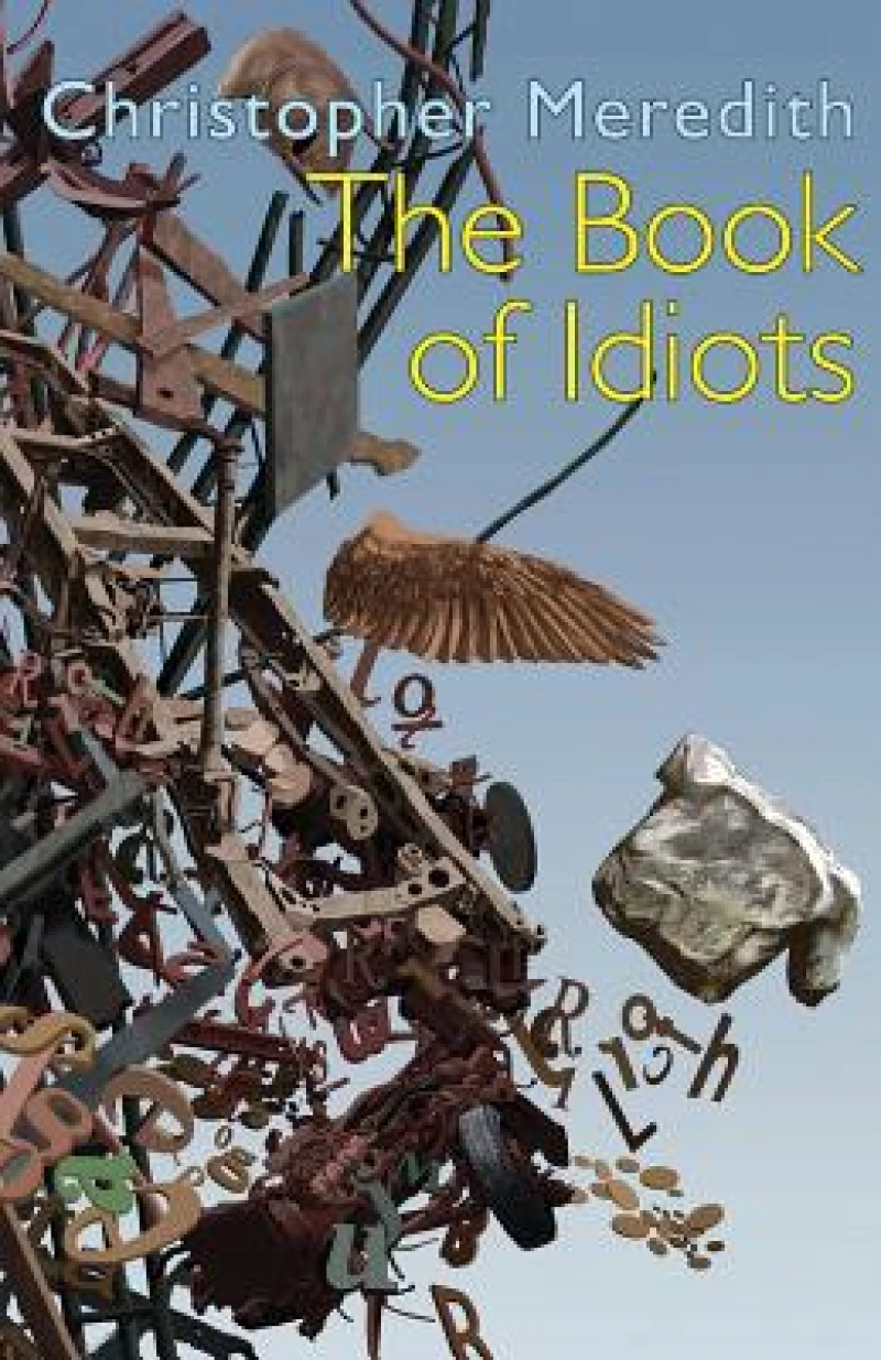 The Book of Idiots
