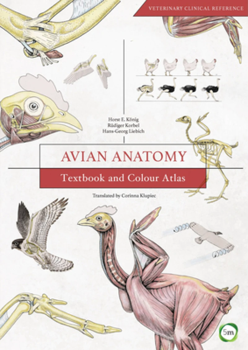 Avian Anatomy 2nd Edition