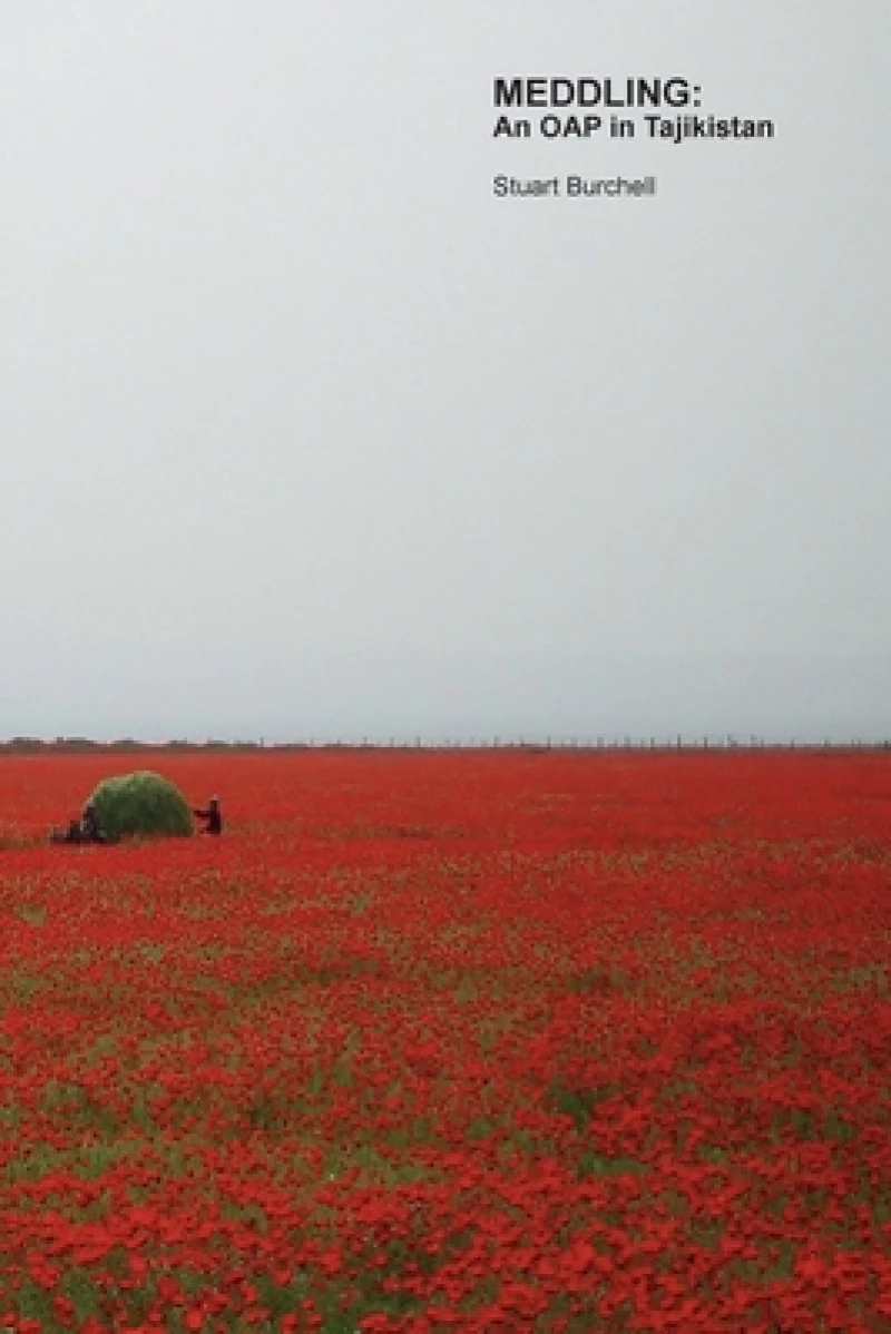 MEDDLING: An OAP in Tajikistan