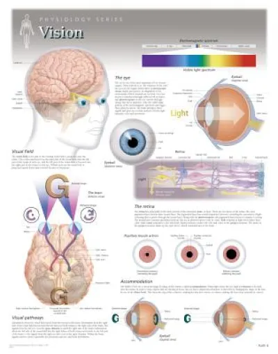 Vision Laminated Poster