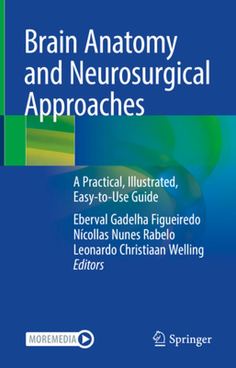Brain Anatomy and Neurosurgical Approaches