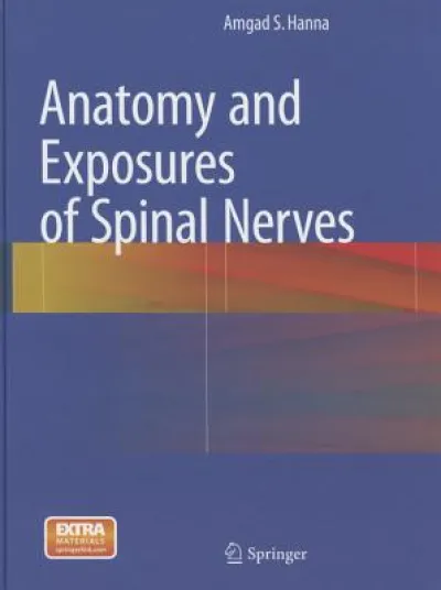 Anatomy and Exposures of Spinal Nerves