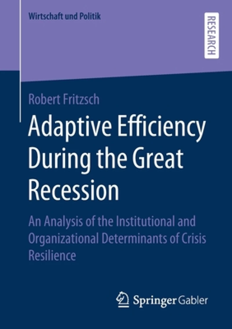 Adaptive Efficiency During the Great Recession