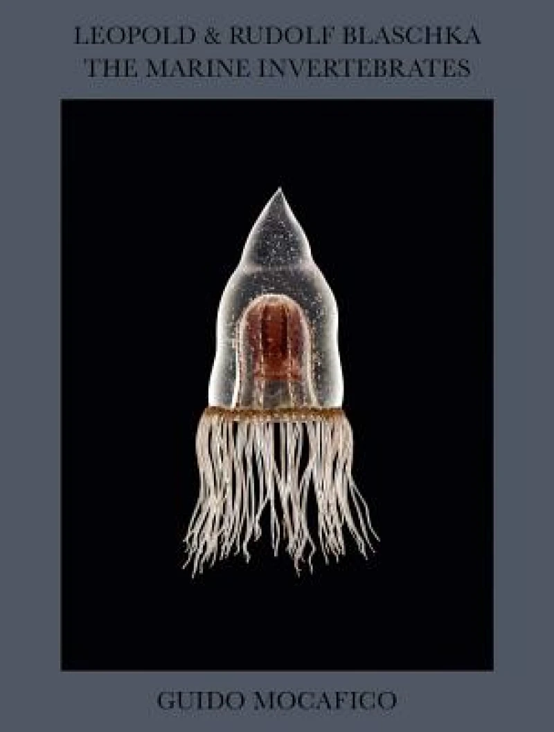Guido Mocafico: Leopold & Rudolf Blaschka. The Marine Invertebrates