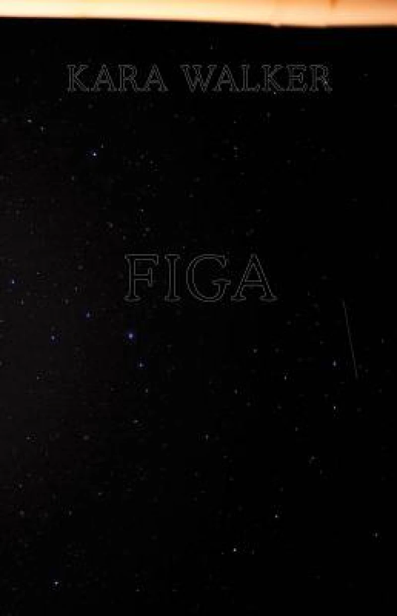 Kara Walker: Figa