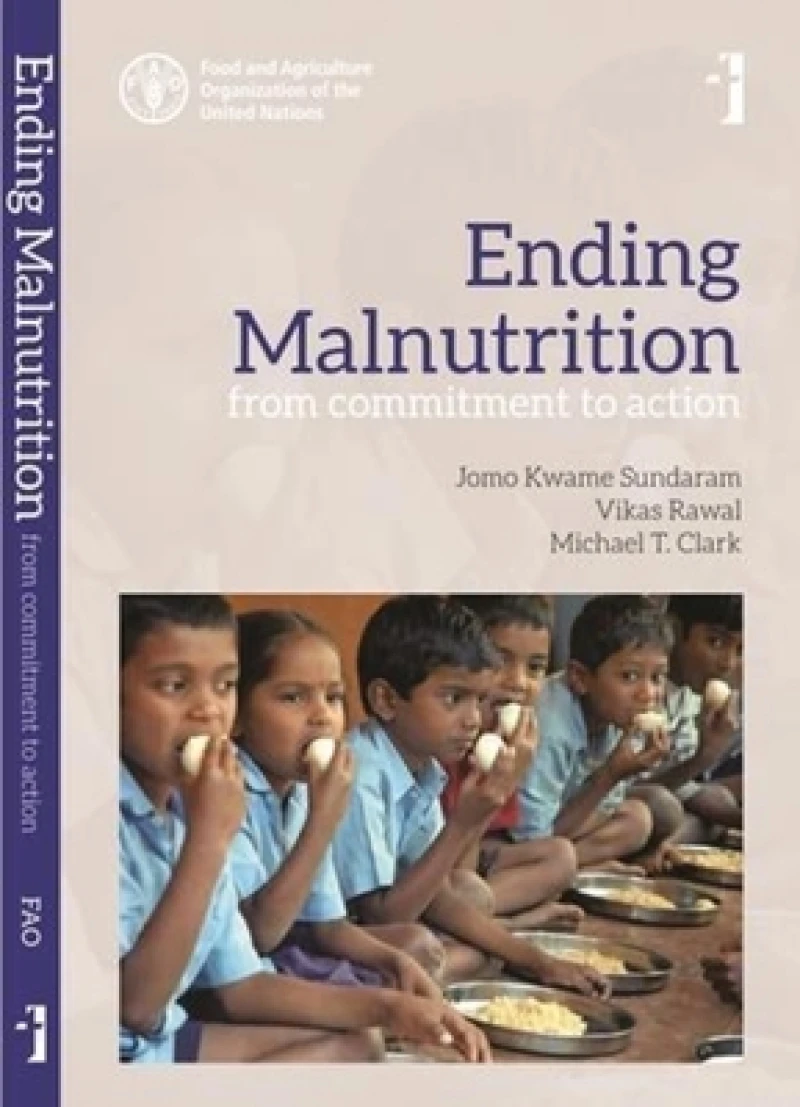 Ending Malnutrition – From Commitment to Action