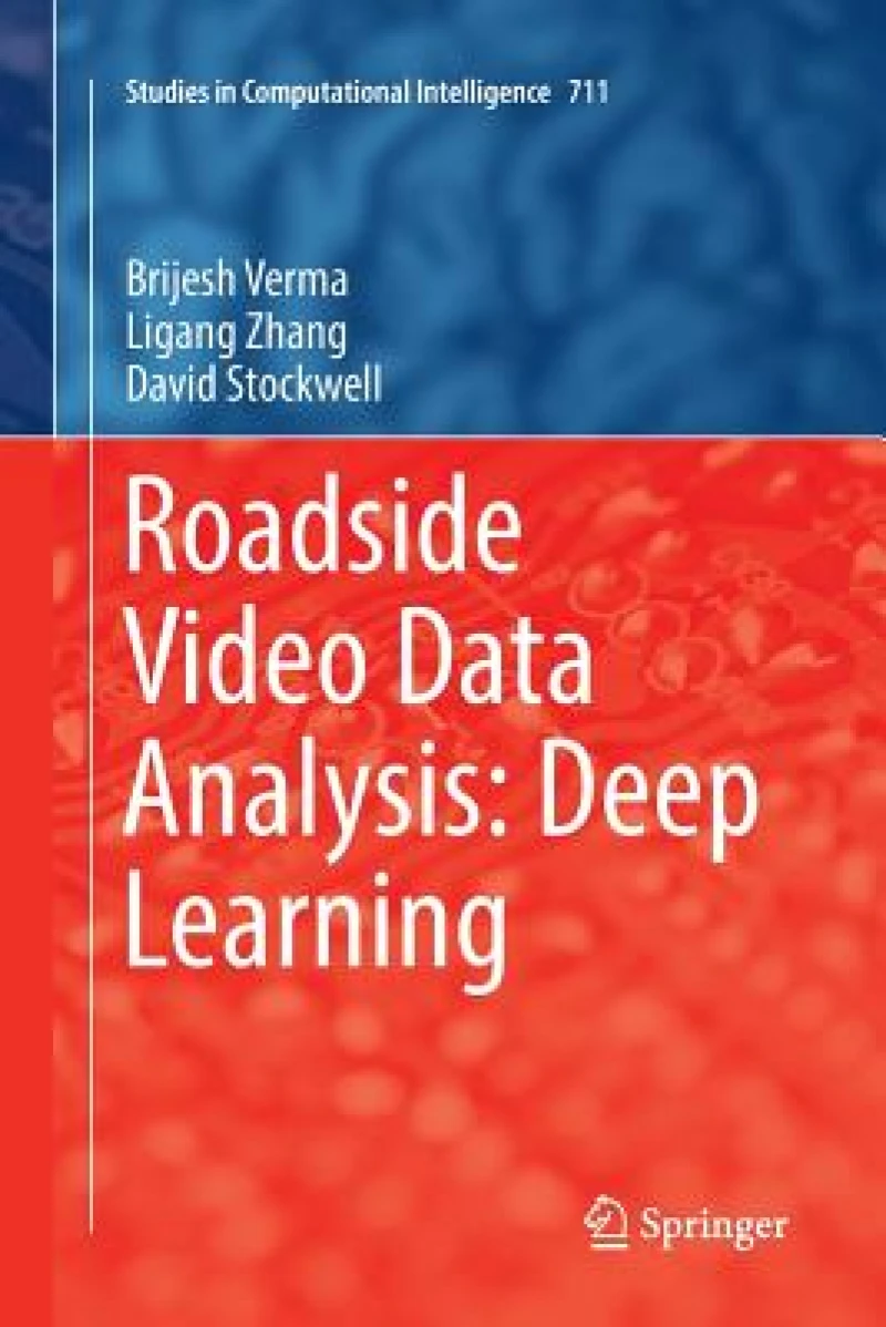 Roadside Video Data Analysis