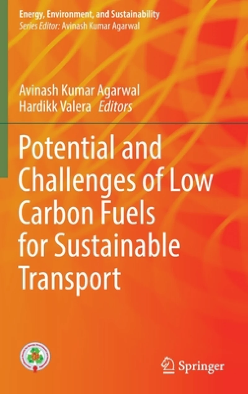 Potential and Challenges of Low Carbon Fuels for Sustainable Transport
