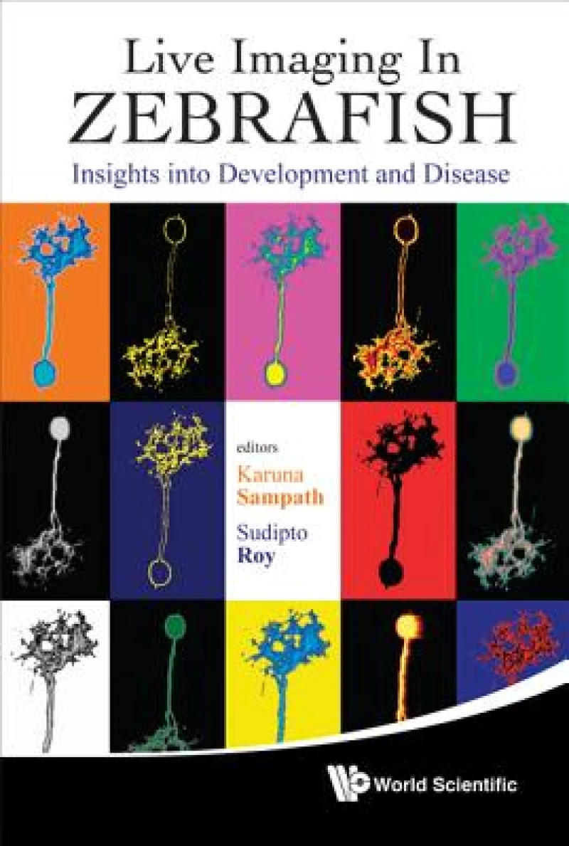 Live Imaging In Zebrafish: Insights Into Development And Disease