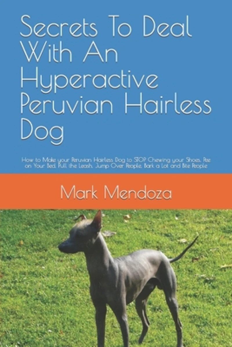 Secrets To Deal With An Hyperactive Peruvian Hairless Dog
