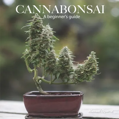 Cannabonsai